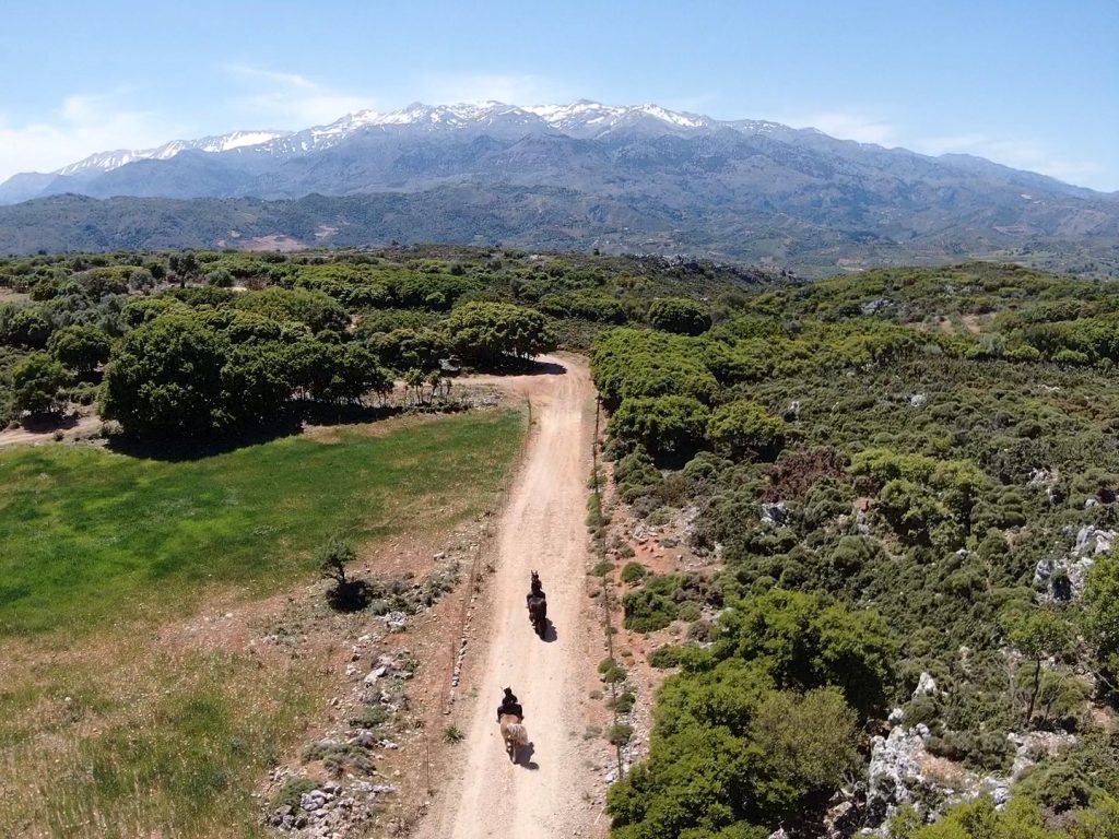 chania horse riding lessons ippasia Nancy anastasaki outdoor