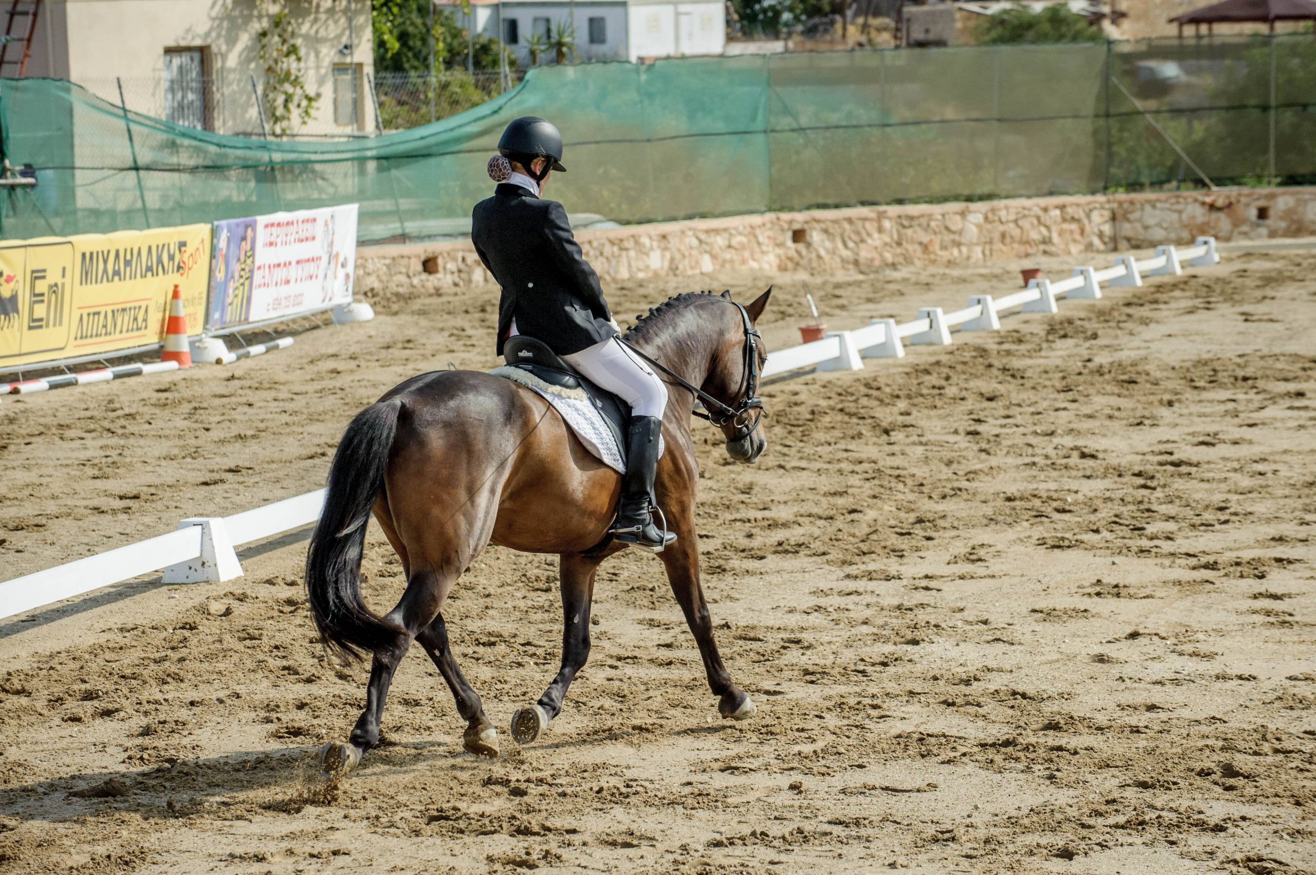 chania horse riding lessons ippasia